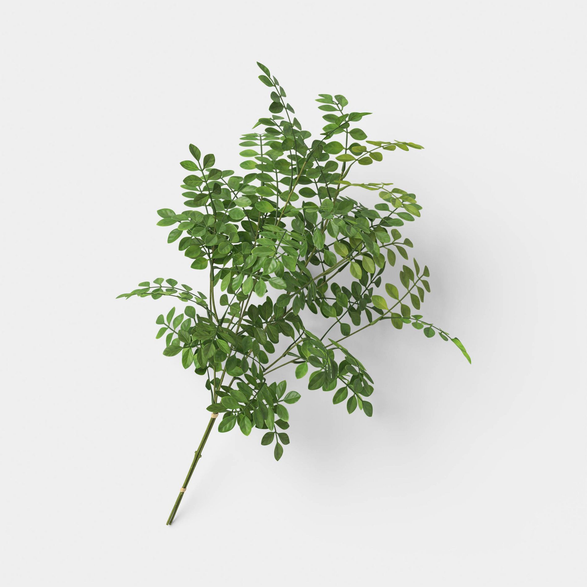 Green Leaf Stem - Threshold™