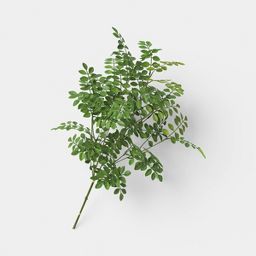 Green Leaf Stem - Threshold™