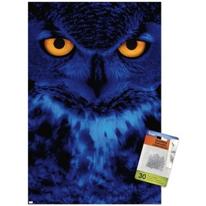 Trends International Owl - Eyes Unframed Wall Poster Prints - 1 of 4