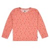Gerber Baby and Toddler Girls' Jumper & Top Set, 2-Piece - 3 of 4
