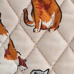 a cat's life
