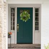 Northlight Bird's Nest in Mixed Foliage Artificial Spring Wreath  - 24" - 3 of 4
