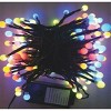 J. Hofert Co 200 Multicolor LED G10 Berry Christmas Lights - 16.5 ft Green Wire - 2 of 2
