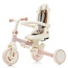Cesicia 7 in 1 Baby Tricycle, Foldable Toddler Tricycle with Removable Handle, Pedal, Canopy, and Guardrail, for 12-72 Months - 3 of 4