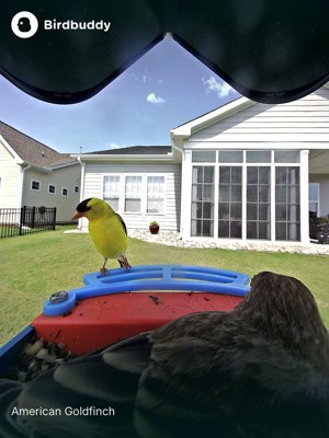 Guest review image 1 of 4, zoom in