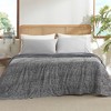 Snuggle Sac Reversible Cooling Comforter, All-Season Bedding Blanket - 3 of 4