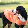 Midlee Coral Dog Sweatshirt - 4 of 4