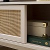 Aino 2 Door Media Stand - MED9619 - Safavieh - 2 of 4