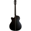 Washburn Deep Forest Ebony ACE Acoustic-Electric Guitar Natural Matte - 4 of 4