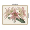 Amanti Art Amaryllis Varietals I by Bette Ridgeway Framed Canvas Wall Art - 4 of 4