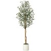 5/6/7 FT Artificial Olive Tree, Realistic Natural Wood Trunk, Plant with White Flower Pot and Green Fake Moss Outdoor Tree for Home Porch Decoration - 2 of 4