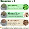 Potaroma 3 Catnip Balls and Smart 3 in 1 Cat Toy Bundle - 3 of 3