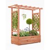 Wood Planter Box with Trellis, Raised Garden Bed with  with Side Supports, Hanging Roof, and Drainage Holes, Freestanding Elevated Garden Bed - 2 of 4