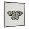 Kate and Laurel Sylvie Two Tone Butterfly Framed Canvas by Robert Cadloff of Bomobob, 22x22, Gray - 2 of 4