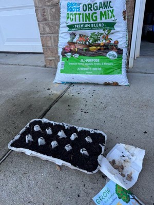 Guest review image 2 of 2, zoom in