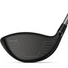 Wilson Dynapower Titanium Driver - 2 of 4
