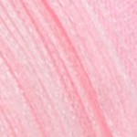 cherry blossoms pink