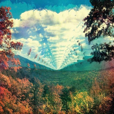 Tame Impala - InnerSpeaker (2 LP) (Vinyl)