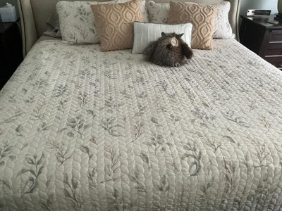 Guest review image 1 of 2, zoom in