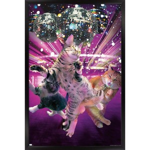 Trends International James Booker - Disco Cats Framed Wall Poster Prints - 1 of 4