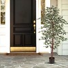 Nature Spring 5 ft Ficus Artificial Tree - Fake Plant with Variegated Leaves and Natural Trunk - Topiary Decor for Indoor or Outdoor - image 4 of 4