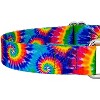 Country Brook Petz Martingale Dog Collar - Groovy Collection - 4 of 4