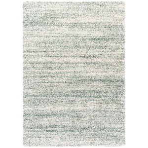 Hudson Shag SGH295 Power Loomed Indoor Rugs - Safavieh - 1 of 4