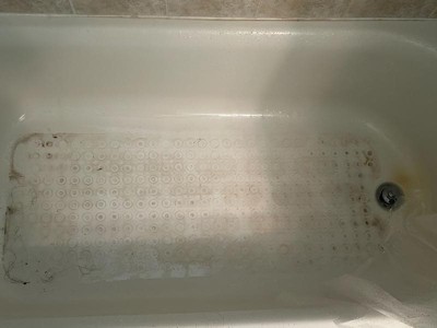 Guest review image 2 of 2, zoom in