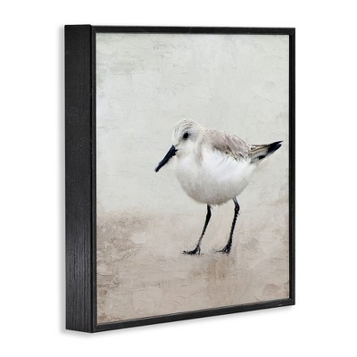 12" x 12" Black Framed Sandpiper Bird Canvas Print