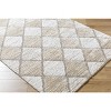 Hauteloom Aideen Cream Shag Area Rug - 3 of 4