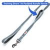 Pawtitas Padded Dog Training Leash 6FT Reflective No-Pull Lead with Dual Padded Handles for Control & Safety - 4 of 4