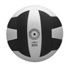 Wilson Pro Tour Volleyball - Blue/White - 2 of 3