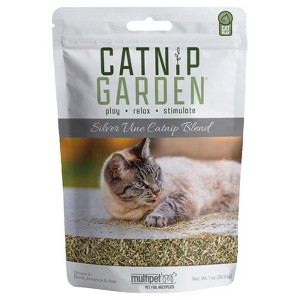 Multipet Catnip Garden Silver Vine Catnip For Cats 1 oz 1 pk - 1 of 1