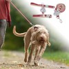 Unique Bargains Cartoon I-Shaped Pet Leash Kit 1 Set - 2 of 4