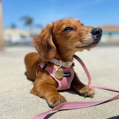 Small Pink Reflective Mesh Step-In Dog Harness