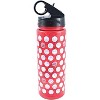 Disney Mickey & Minnie Mouse Flip Top Water Bottle 802355