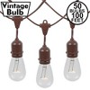 Novelty Lights 100 Feet Heavy Duty Light Strings and Sets with 50 Suspended E26 Sockets, Brown Wire PVC Stringer, 24" Spacing, Non-Connectable - 2 of 4