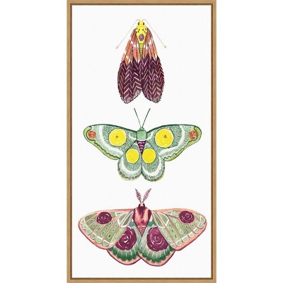 Amanti Art Moth Fairies I by Grace Popp Canvas Wall Art Print Framed 14 x 27-in.