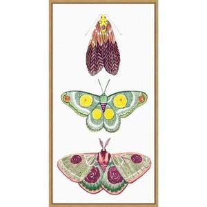 Amanti Art Moth Fairies I by Grace Popp Canvas Wall Art Print Framed 14 x 27-in. - 1 of 4