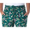 A Christmas Story Men's Movie inspired Allover Print Sleep Pajama Pants Green - 4 of 4