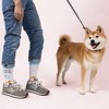 Pavilion Gift Company - Dog Walkin'  - Adult Crew Socks Size: M/L - Socks - 2 of 4