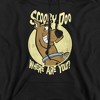Scooby Doo Where Are You Adult Pull-Over Hoodie - 2 of 4