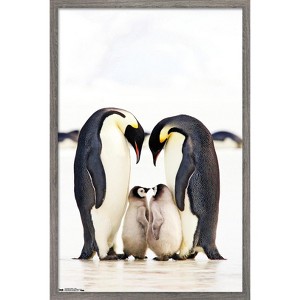 Trends International A Group Of Emperor Penguins Framed Wall Poster Prints - 1 of 4