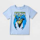 Boys' DC Comics Batman Adaptive Short Sleeve Graphic T-Shirt - Blue