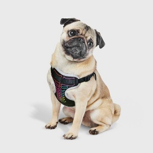 Halloween Neon Skeleton Dog Harness Costume - S - Hyde and EEK! Boutique™ - 1 of 4