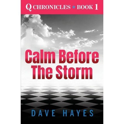 Calm Before The Storm - (The Q Chronicles) by  Dave Hayes (Paperback)