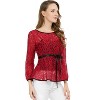 INSPIRE CHIC Women's Semi-Sheer Elegant Tie Waist Long Sleeve Floral Lace Peplum Blouses - 2 of 4