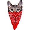 Women's Design By Humans Gangster Cat By clingcling Racerback Tank Top - 2 of 3