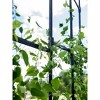 Gardener's Supply Company | Titan Half Arch | Decorative Garden Arch for Backyard, Patio, Courtyard | Durable Weatherproof Steel Support for Climbing - 4 of 4