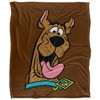 Scooby-Doo Scooby Happy Officially Licensed Silky Touch Super Soft Throw Blanket 50" x 60" - 2 of 4